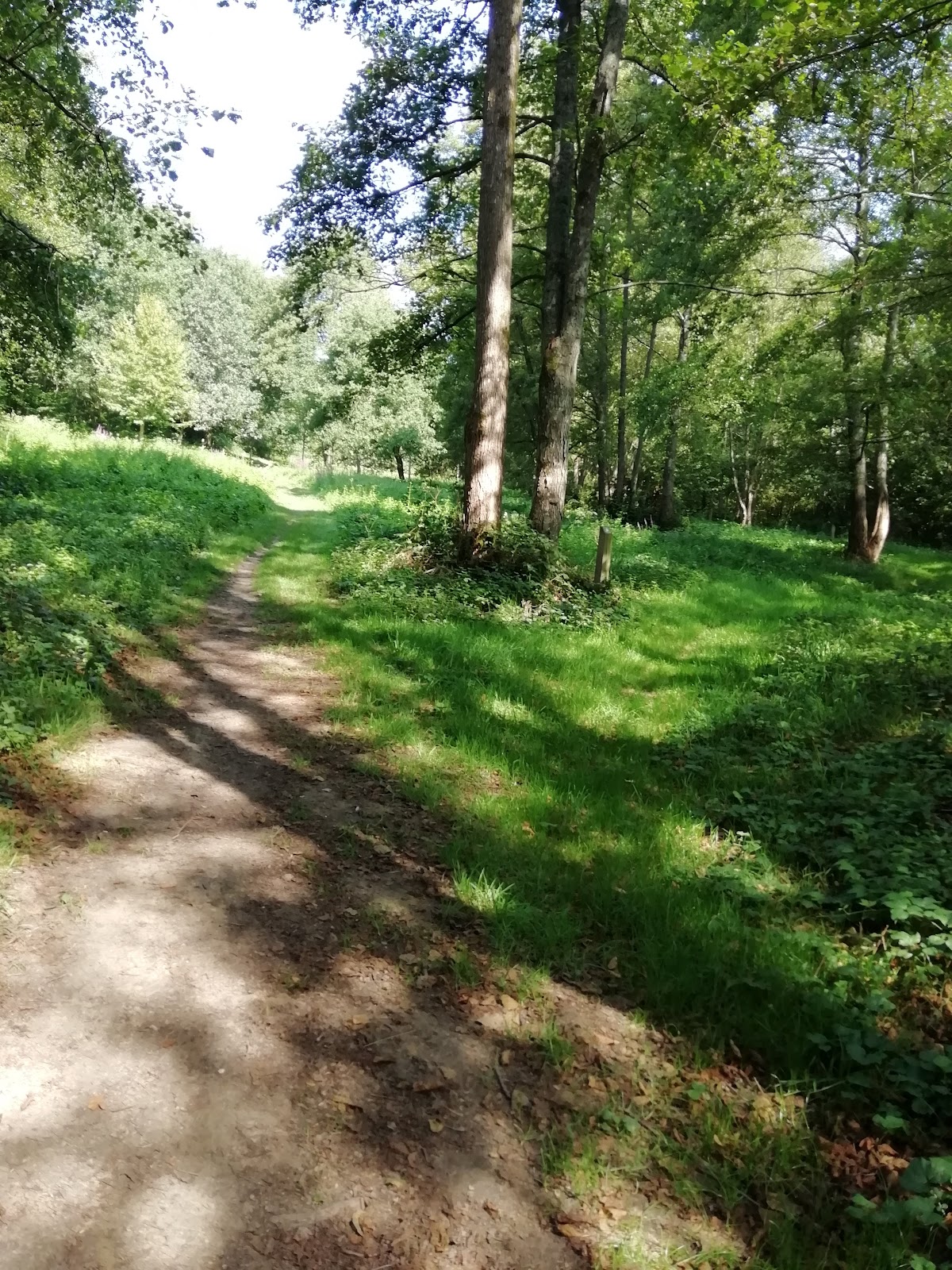 Arboretum de l'étang Garot