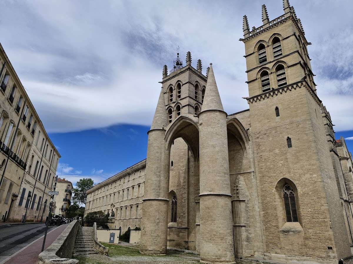 Cathédrale Saint-Pierre de Montpellier