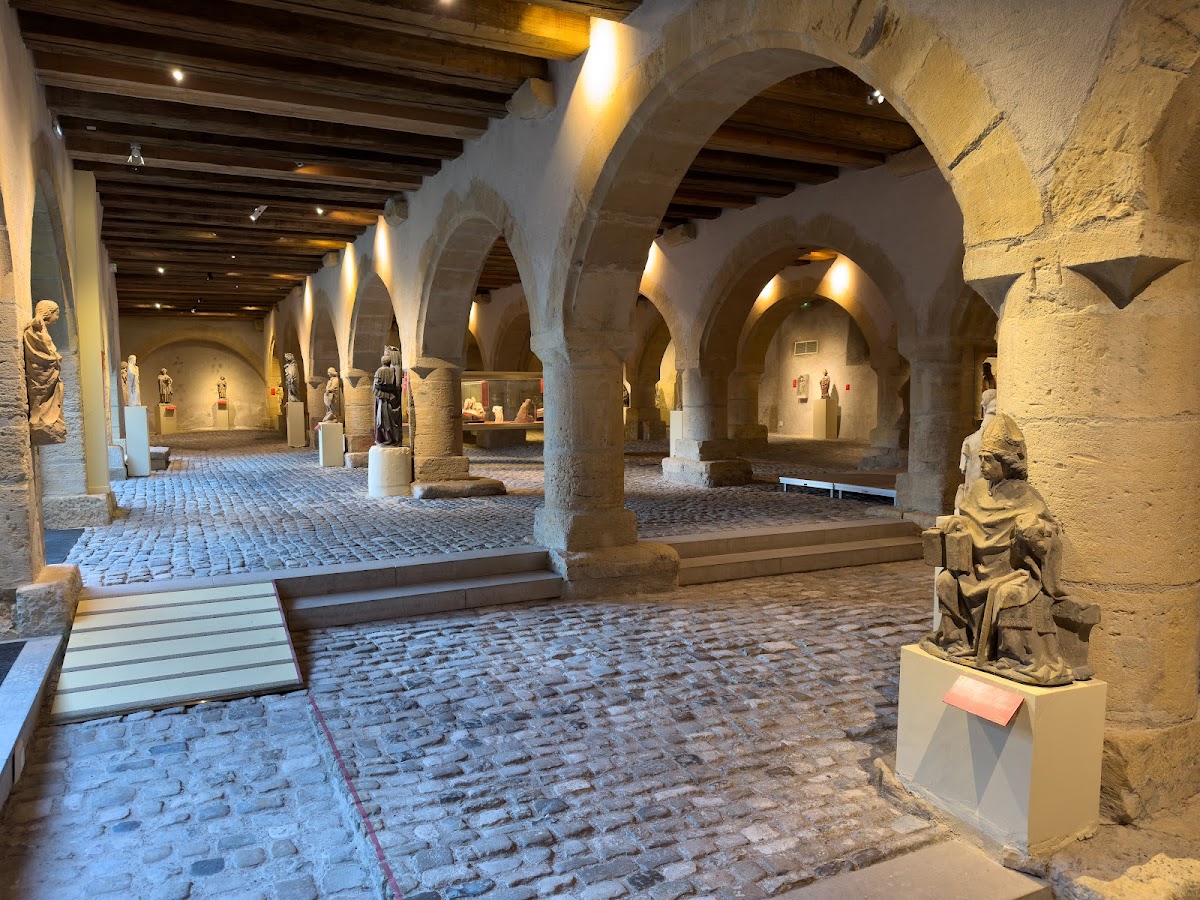Museum of La Cour d'Or