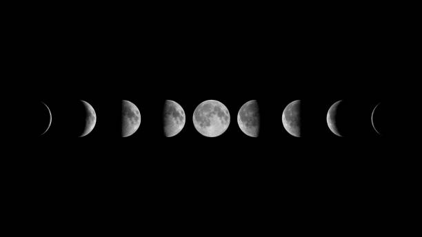Jardiner avec la lune novembre 2025