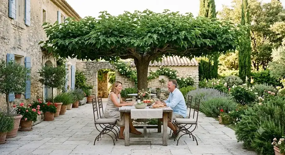 Mûrier platane sans fruits : variétés propres et ombrage